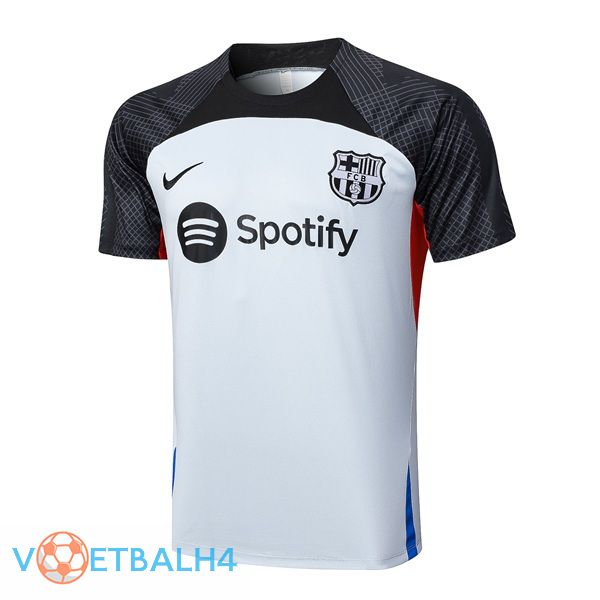 FC Barcelona Training T Shirt grijs 2023/2024