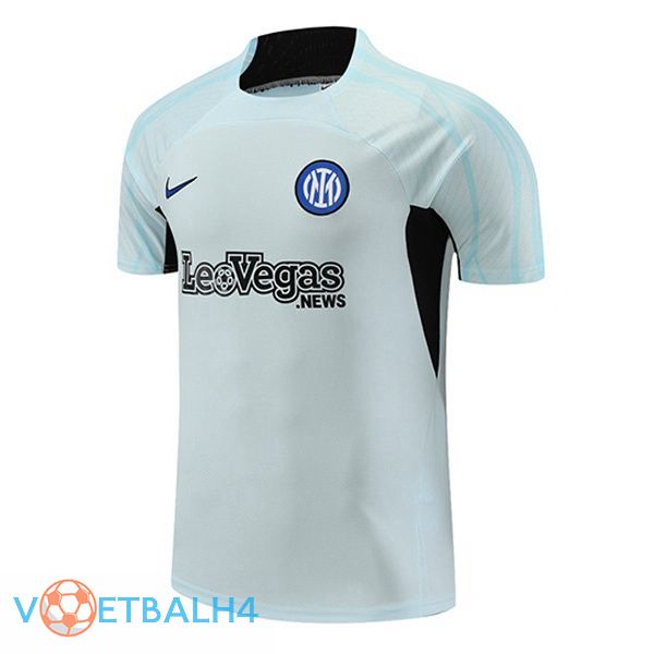 Inter Milan Training T Shirt grijs 2023/2024