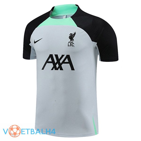 FC Liverpool Training T Shirt grijs 2023/2024