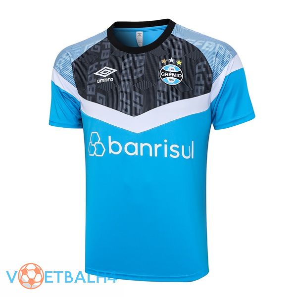 Gremio Training T Shirt blauw 2023/2024