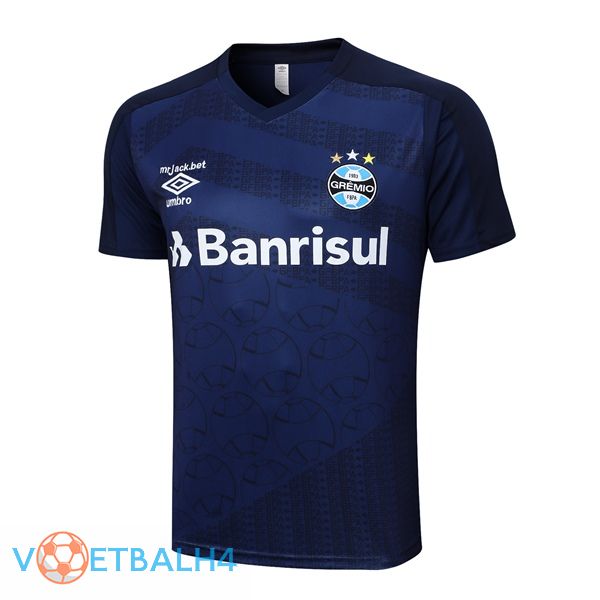 Gremio Training T Shirt koninklijk blauw 2023/2024