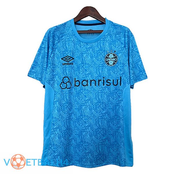 Gremio doelman voetbal jersey blauw 2024/2025