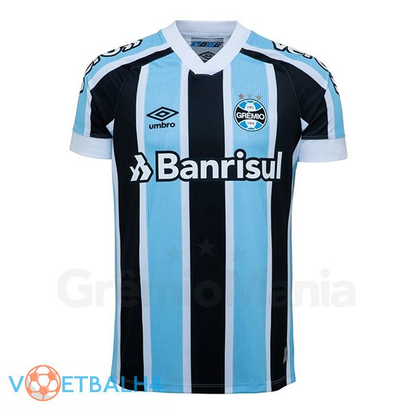 Gremio thuis jersey 2021/22