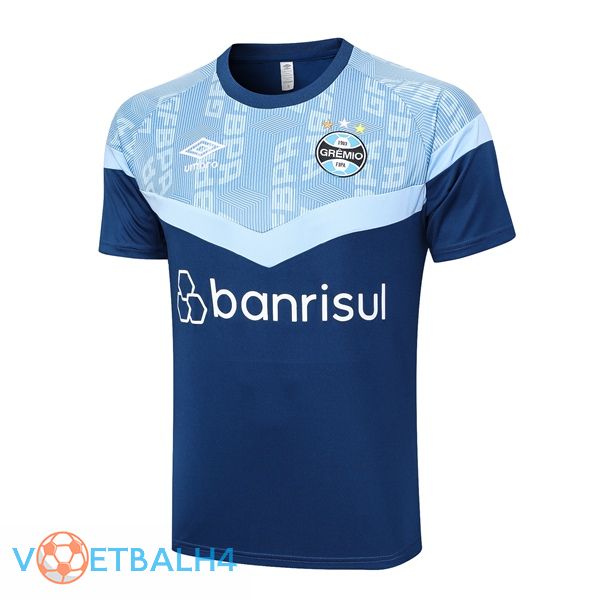 Gremio Training T Shirt blauw 2023/2024