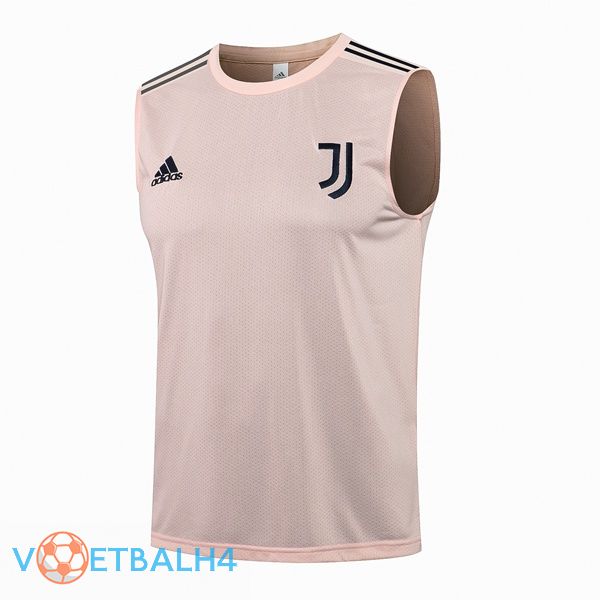 Juventus voetbal Vest Rose 2021/2022