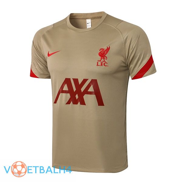 FC Liverpool Training T Shirt geel 2021/2022