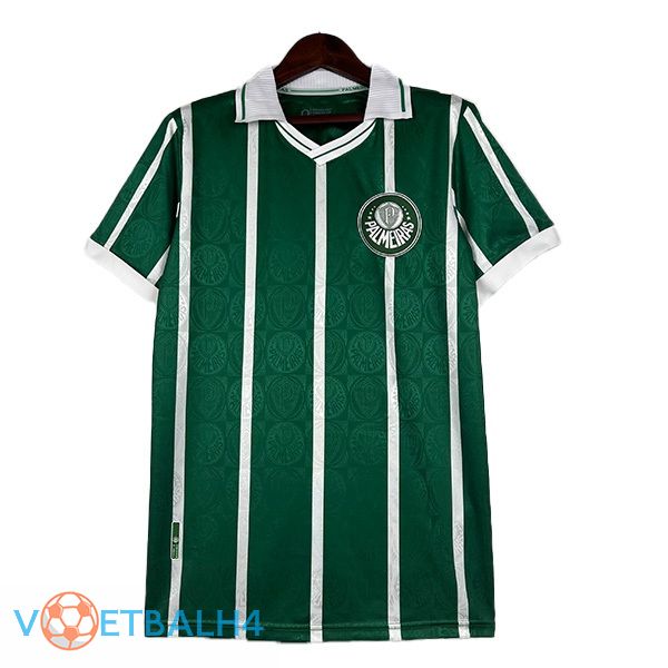 Palmeiras Retro thuis voetbal jersey groente 1993