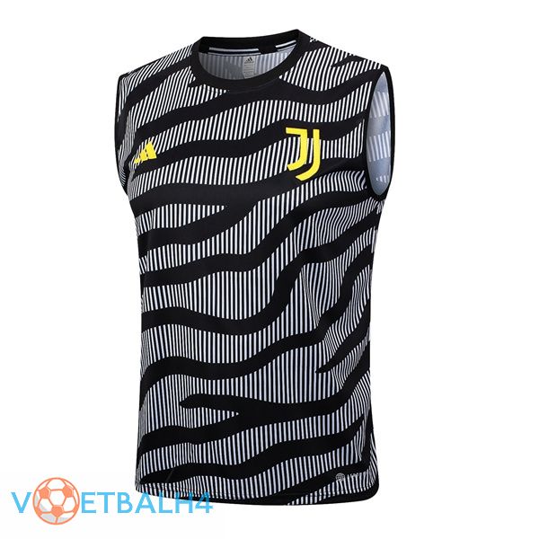 Juventus voetbal Vest grijs 2023/2024