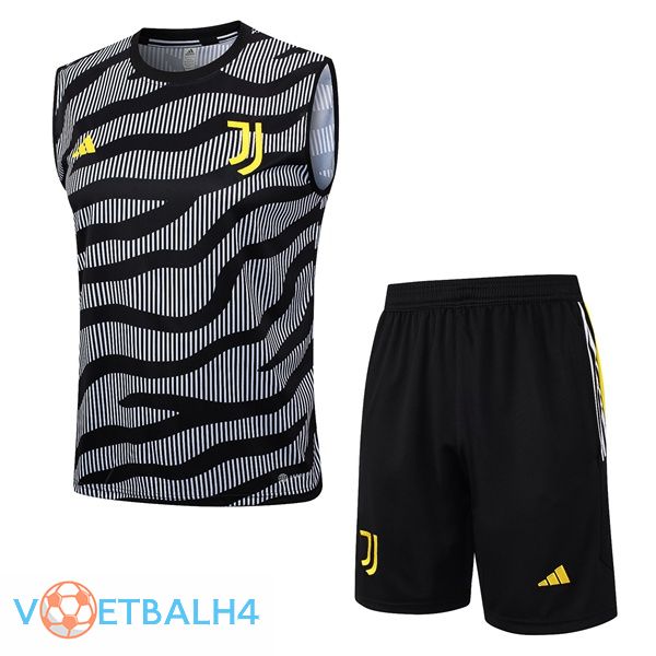 Juventus voetbal Vest + korte broek grijs 2023/2024